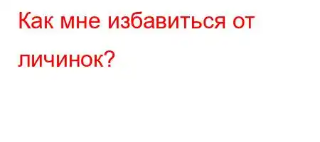 Как мне избавиться от личинок?